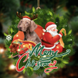 Vizsla Christmas YC0811445CL Ornaments