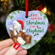 Elephant All I Want For Christmas YC0711832CL Ornaments