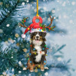 Bernese Mountain Christmas Lights YC0611540CL Ornaments