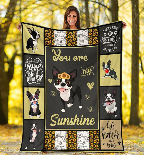 You Are Sunshine, I Work Hard So My Dog Can Have A Better Life Boston Terrier Dog Fleece Blanket
