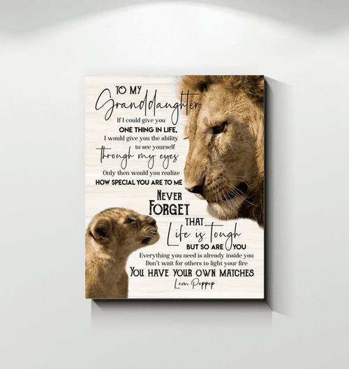 Lion Matte Canvas How Special You Are To Me Poppop Gift For Granddaughter