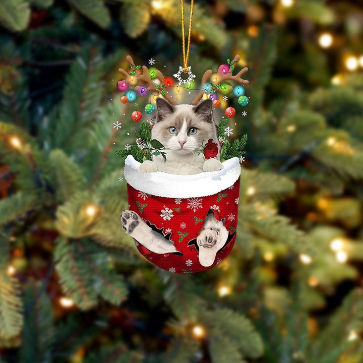 Ragdoll Cat In Snow Pocket Christmas Ornament Flat Acrylic Cat Ornament