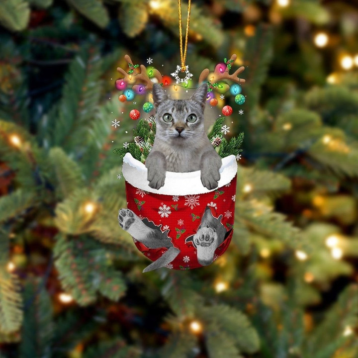 Singapura Cat In Snow Pocket Christmas Ornament Flat Acrylic Cat Ornament
