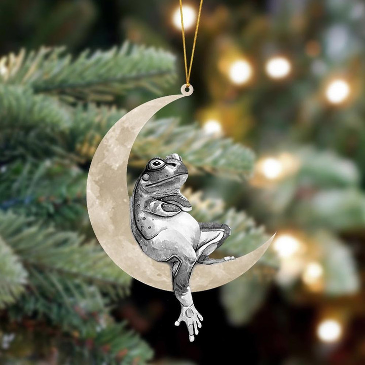 Frog Sits On The Moon Hanging Flat Acrylic Ornament