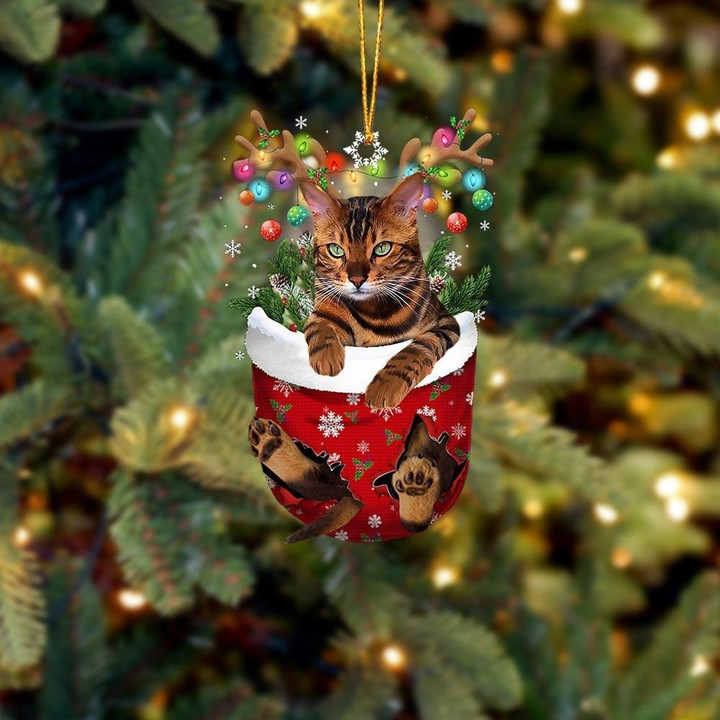 Cat Tiger In Snow Pocket Christmas Ornament Flat Acrylic Cat Ornament