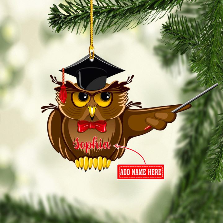 Personalized Owl Teacher NI2412014YC Ornaments