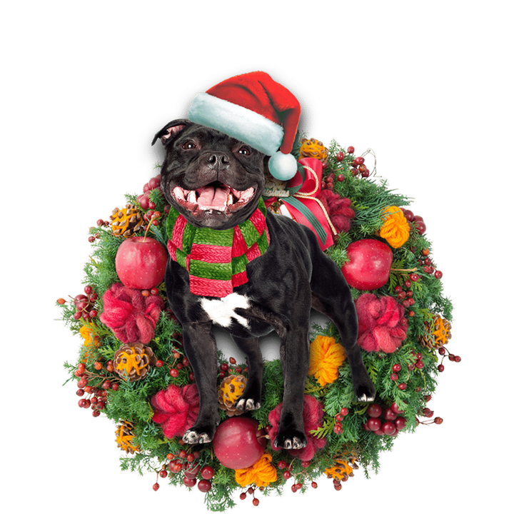 Staffordshire Bull Terrier Christmas YC0811513CL Ornaments