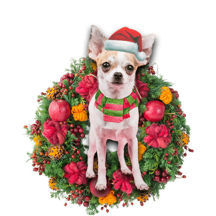 Chihuahua Christmas YC0811555CL Ornaments