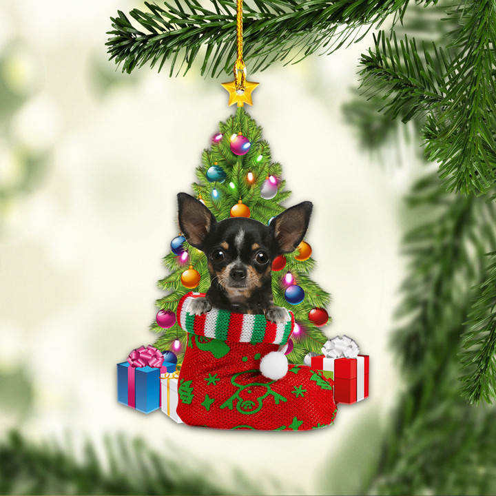 Chihuahua in a Christmas NI0312034YR Ornaments