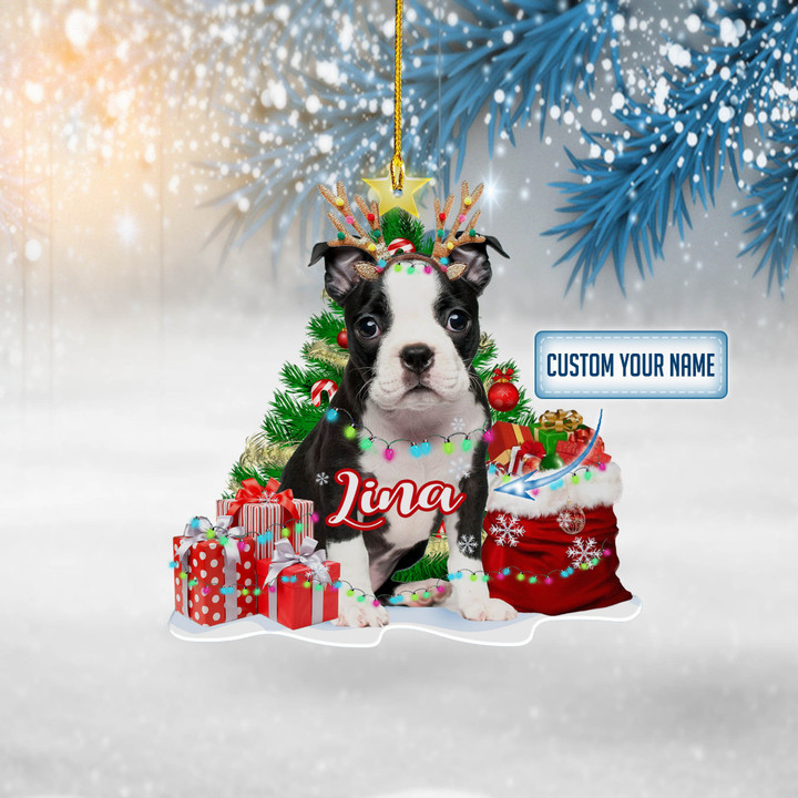 Personalized Boston Terriers Cute NI2611003YI Ornaments