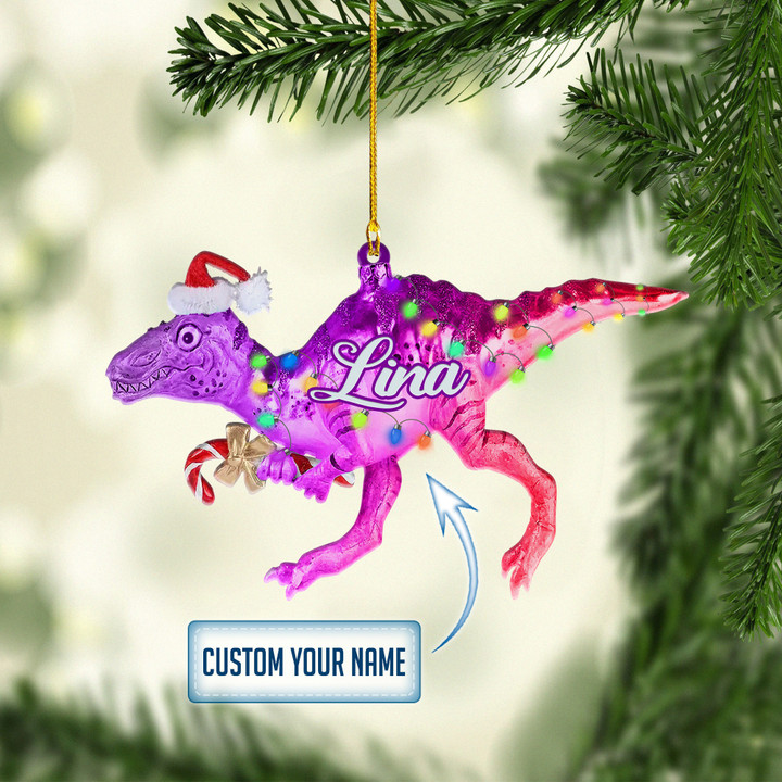 Personalized Dinosaurs Gradient NI0212002YI Ornaments