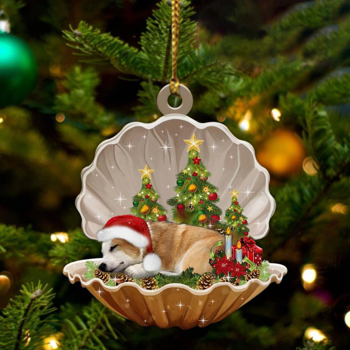 Corgi Sleeping Pearl In Christmas YC0711196CL Ornaments