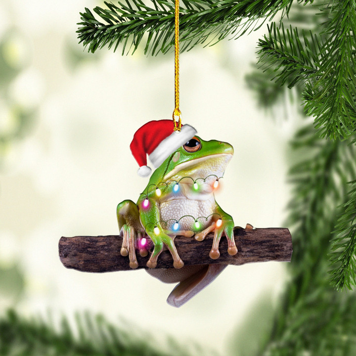 Frog Christmas NI1711025YR Ornaments