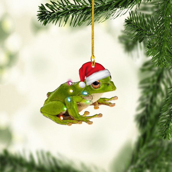 Frog Christmas NI1711030YR Ornaments