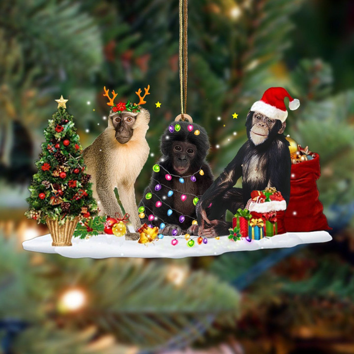 Monkey Christmas YW0511049CL Ornaments