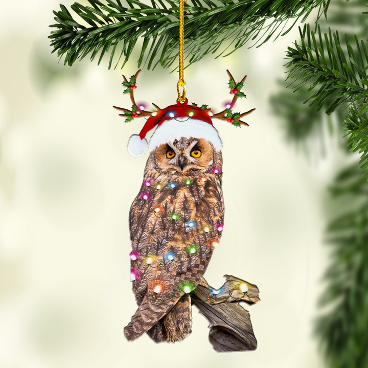 Owls NI1811001YJ Ornaments