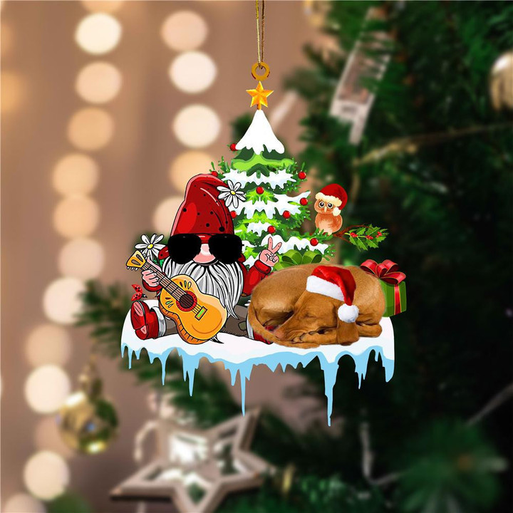 Vizsla Christmas Gnomes Party YC0711289CL Ornaments, 2D Flat Ornament