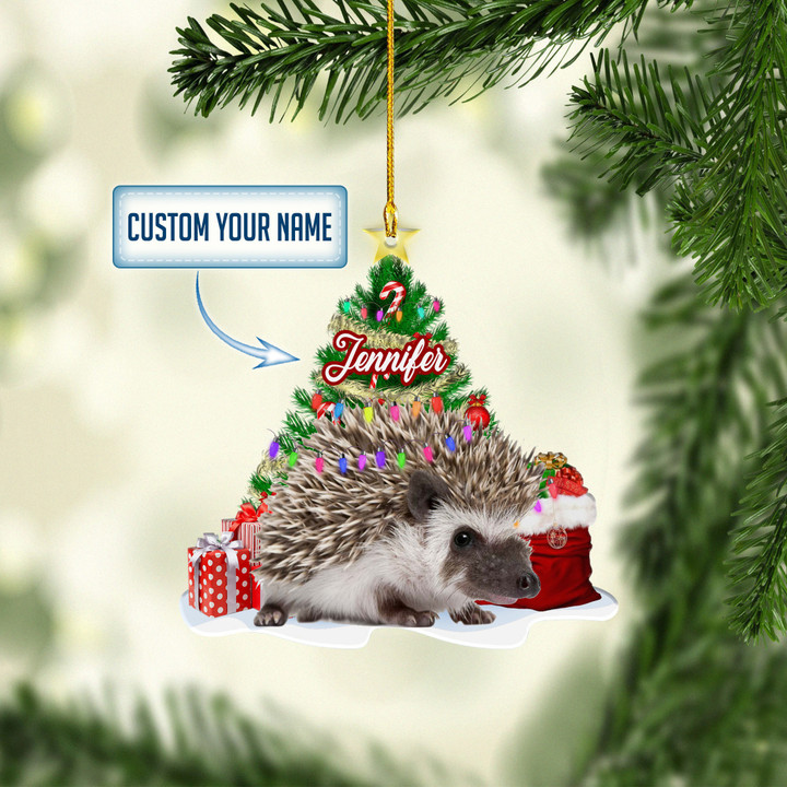 Personalized Hedgehog NI0112002YI Ornaments, 2D Flat Ornament