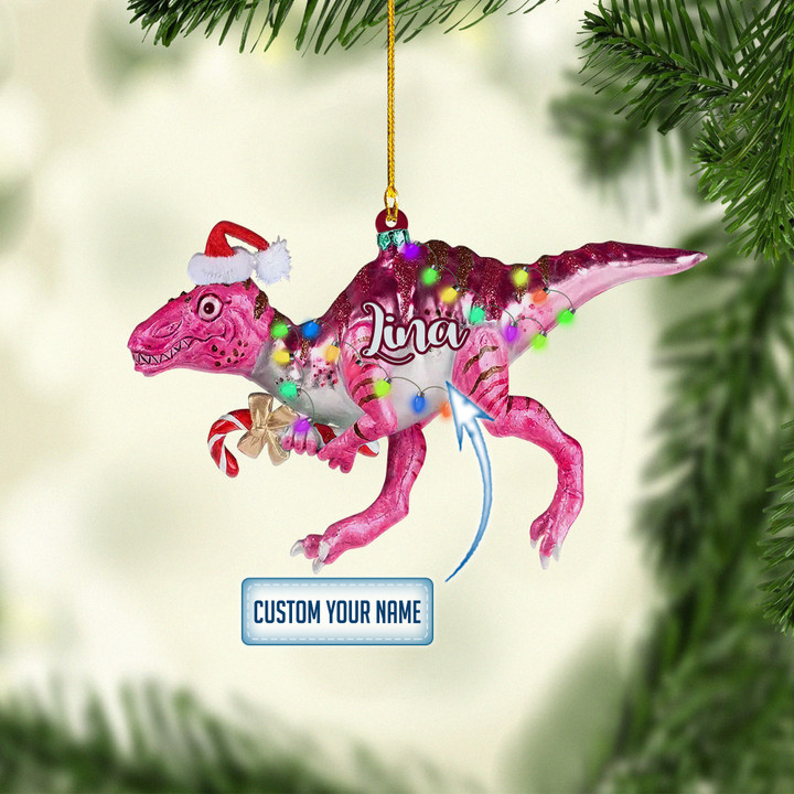 Personalized Dinosaurs Pink XS1311002YI Ornaments, 2D Flat Ornament
