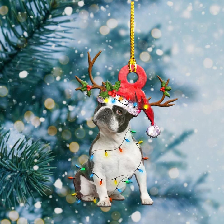 Boston Terriers Christmas Lights YC0611509CL Ornaments, 2D Flat Ornament