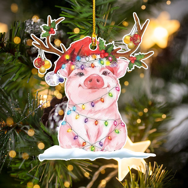 Christmas Pig NI1911006XR Ornaments, 2D Flat Ornament