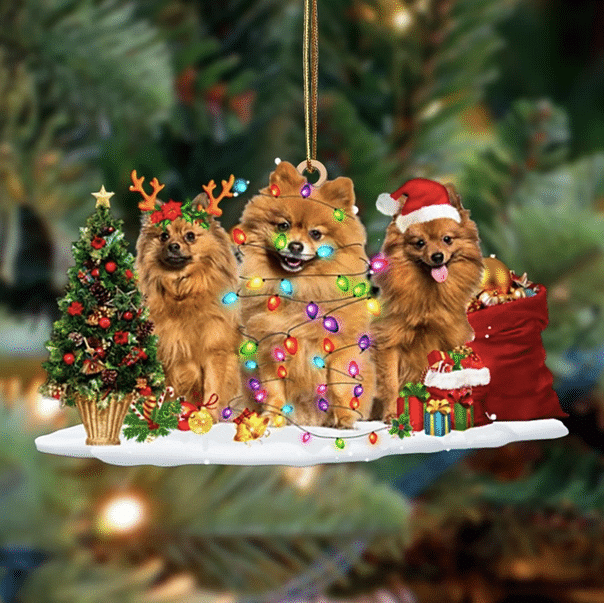 Pomeranian Christmas YC0811335CL Ornaments