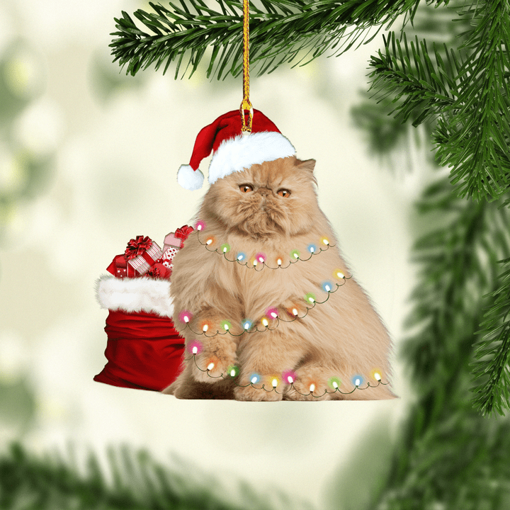 Persian Cat NI1711014XB Ornaments, 2D Flat Ornament