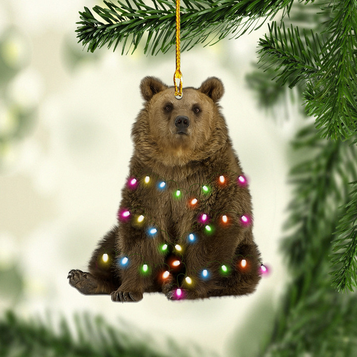 Brown Bear XS1011026YC Ornaments, 2D Flat Ornament