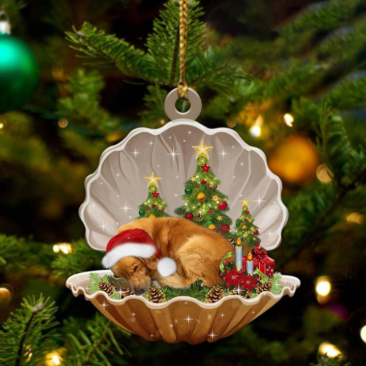 Golden Retriever Sleeping Pearl In Christmas YC0711199CL Ornaments, 2D Flat Ornament