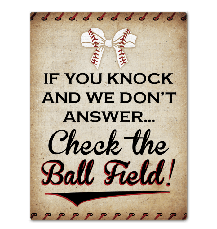 Check The Ball Field Canvas Gift For Baseball Lovers Framed Matte Canvas