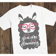 You Are Llamazing Llama Alpaca Funny Valentine Gifts Graphic Unisex T Shirt, Sweatshirt, Hoodie Size S - 5XL