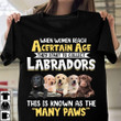 When women reach a certain age they start to collect labradors this is known as the many paws T Shirt Hoodie Sweater