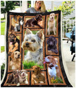 Cute Dogs Cl25110141Mdf Sherpa Fleece Blanket