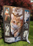 3D Cat Cl05110032Mdf Sherpa Fleece Blanket
