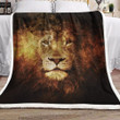 Lion ML0301128F Sherpa Fleece Blanket