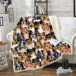 You Will Have A Bunch Of Shetland Sheepdogs - Gs-Cl-Dt1001 Fleece Blanket