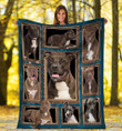 3D Pitbull Dog Premium Quilt Blanket Size Throw, Twin, Queen, King, Super King