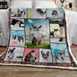 Boston Terrier Lifestyle Gs-Cl-Kc1208 Fleece Blanket