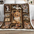 Crazy Yorkshire Terrier Dog Gs-Cl-Nt2612 Fleece Blanket