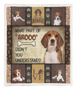 What Part Of Arooo Didn'T You Understand Beagles Beagle Dog Lover Fleece Blanket | Adult 60X80 Inch | Youth 45X60 Inch | Colorful | Bk1887