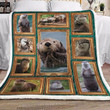 Otter Sherpa Fleece Blanket Iemj Bubl