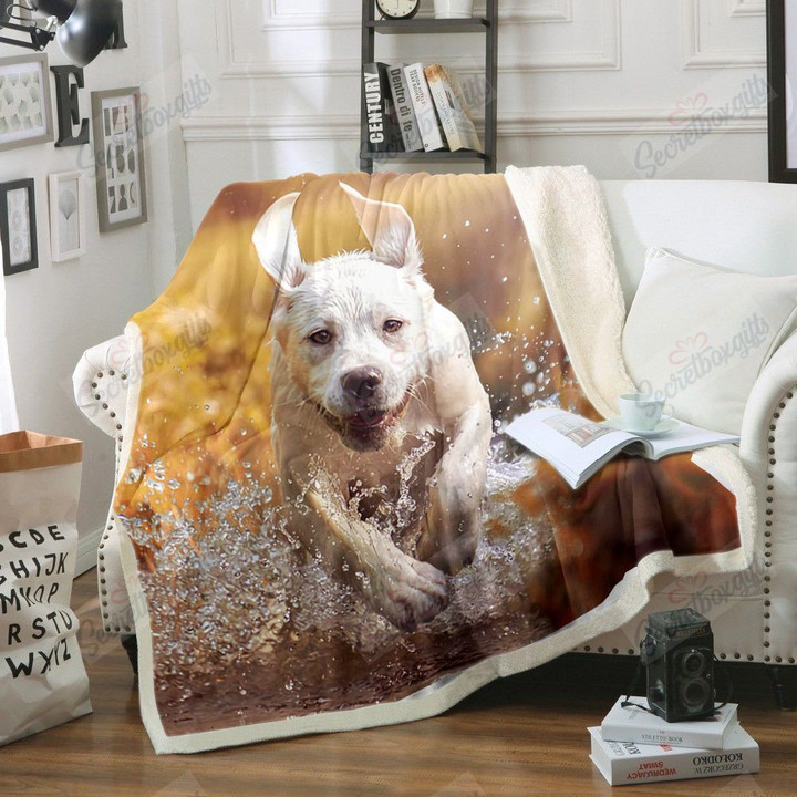 Dog Labrador Yq2201666Cl Fleece Blanket