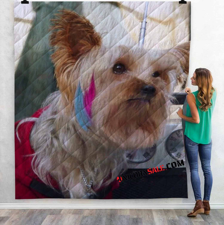 Movie Pup Star Better 2Gether d 3D Customized Personalized Quilt Blanket