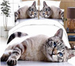 Tabby Cat Duvet Bedding