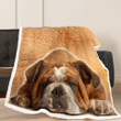 Bulldog Dog Sherpa Blanket W210941