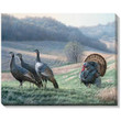 "Tempting Trio (Turkeys)" Wrapped Canvas Art