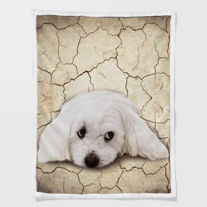 Maltese Dog Sherpa Blanket W2109149