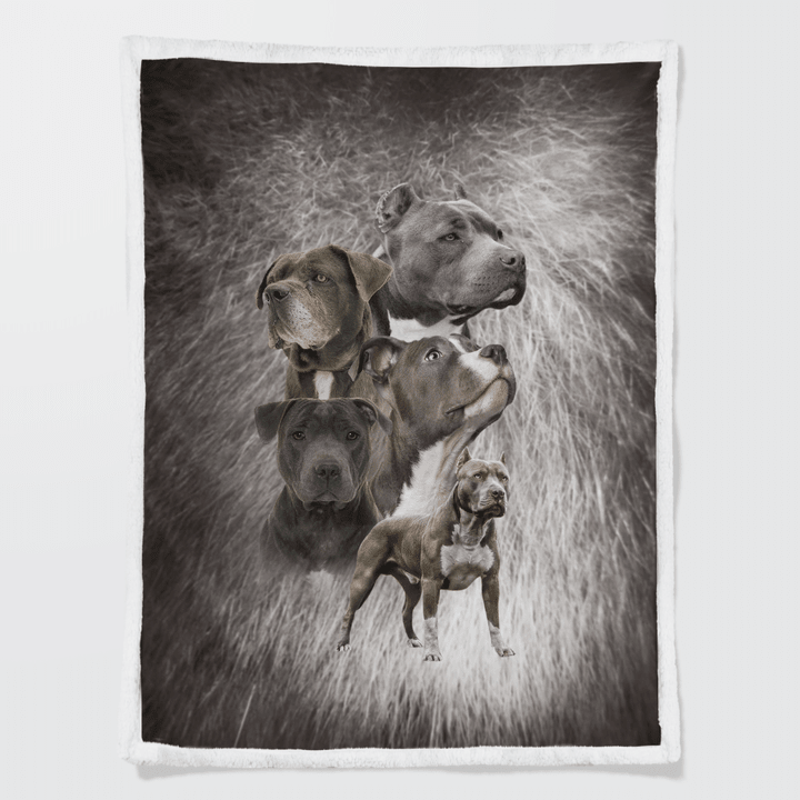 Pitbull Dog Sherpa Blanket W230959