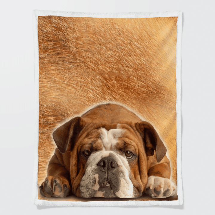 Bulldog Dog Sherpa Blanket W210941