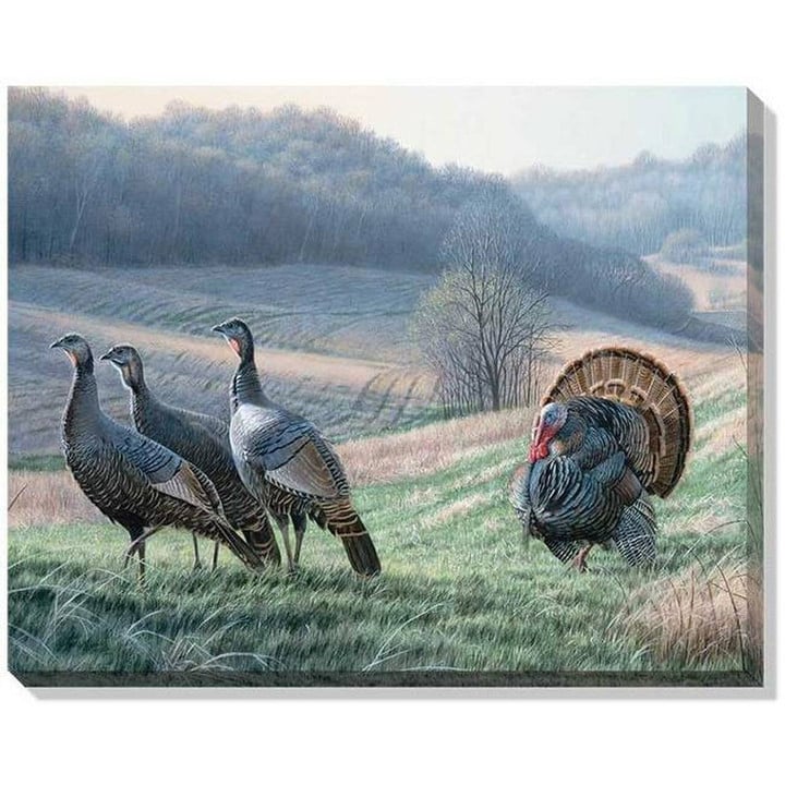 "Tempting Trio (Turkeys)" Wrapped Canvas Art
